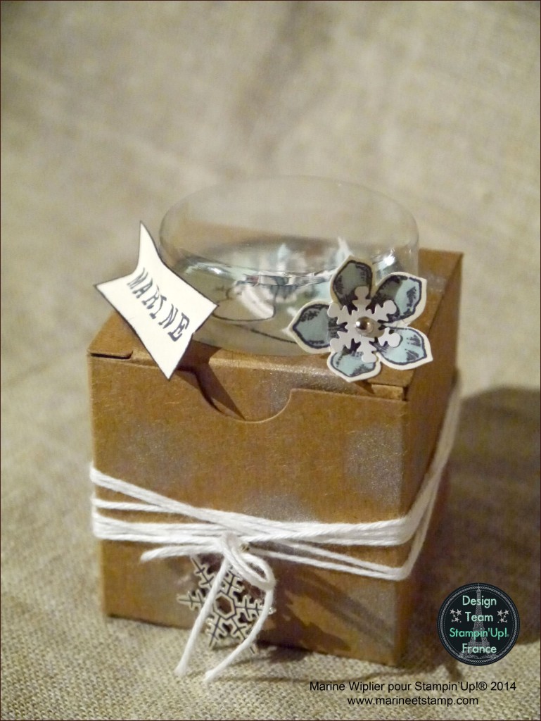 Marine Wiplier StampinUp - Blog hop DT Nov 14 - 2