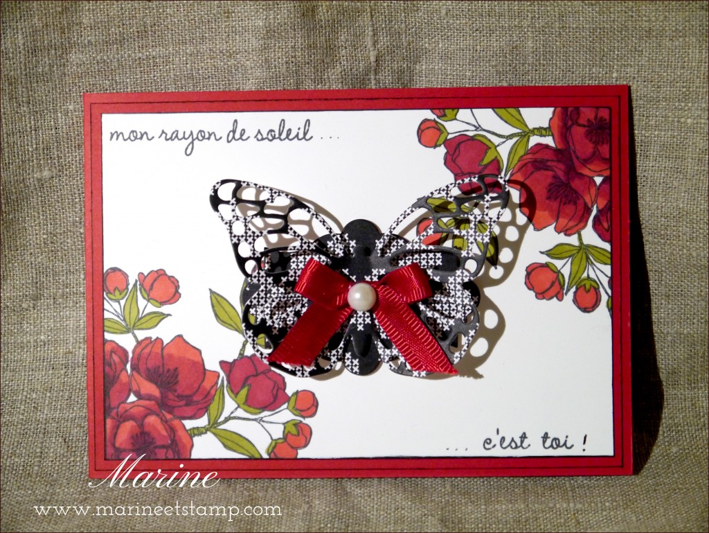 StampinUp - Marine Wiplier - CLTM - Fev15