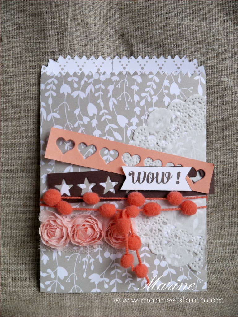 StampinUp - Marine Wiplier - Atelier1-Fev15