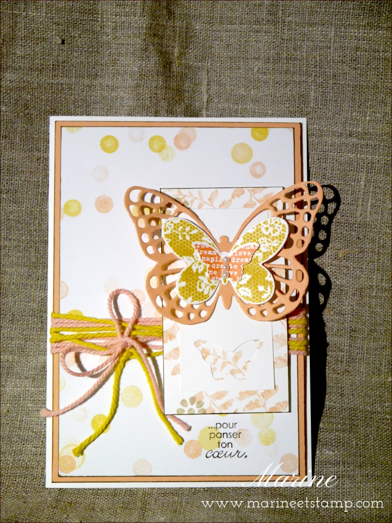 StampinUp - Marine Wiplier pour SB - Sketch 101