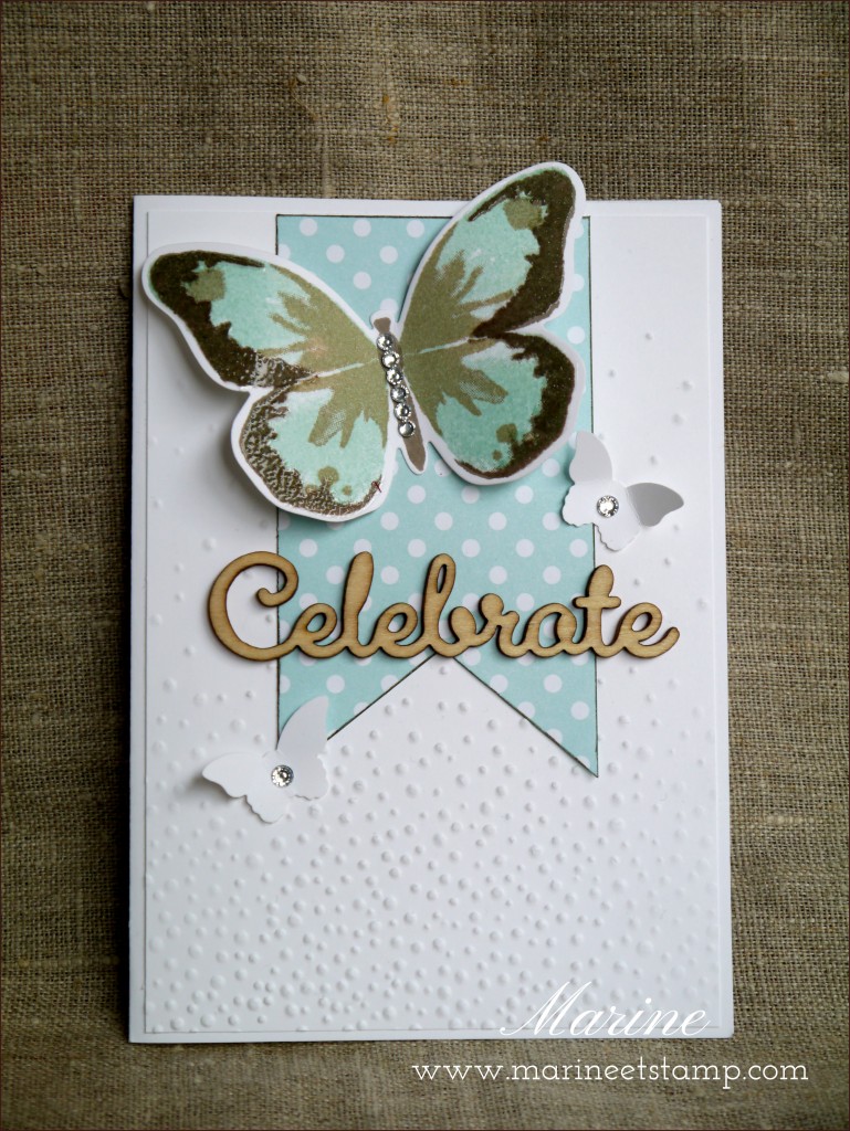 StampinUp - Marine Wiplier - AtelierSept15-002