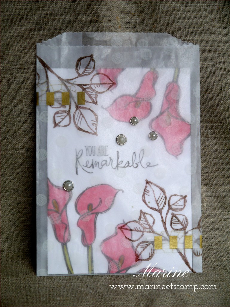 StampinUp - Marine Wiplier - CLTM - Aout15