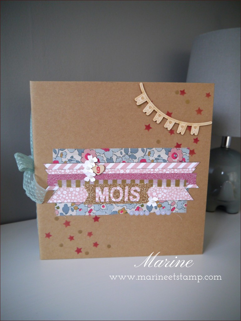 StampinUp - Marine Wiplier - AlbumGrossesse001