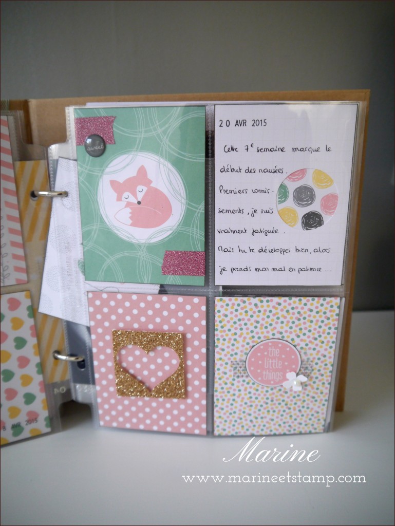 StampinUp - Marine Wiplier - AlbumGrossesse011