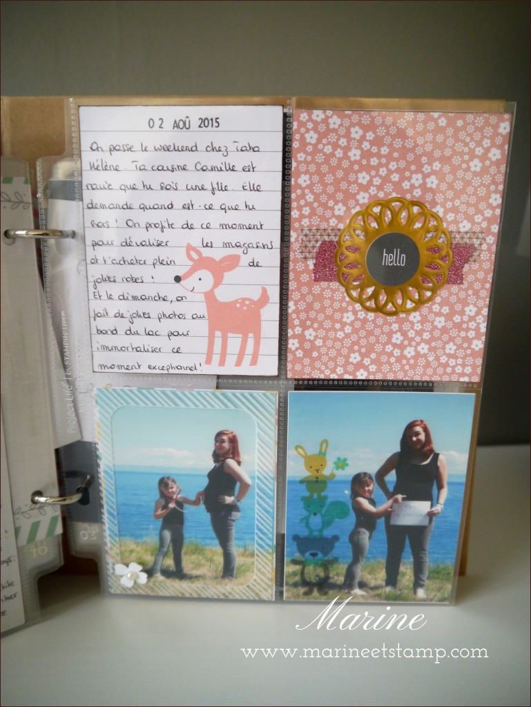 StampinUp - Marine Wiplier - AlbumGrossesse026