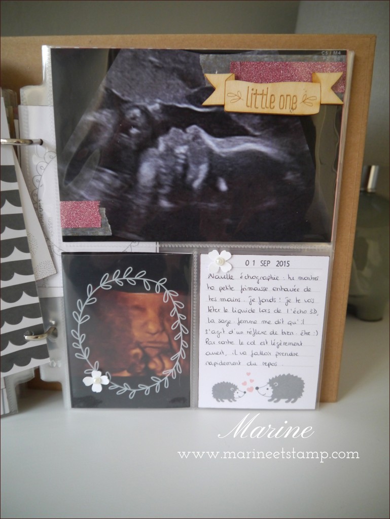 StampinUp - Marine Wiplier - AlbumGrossesse035