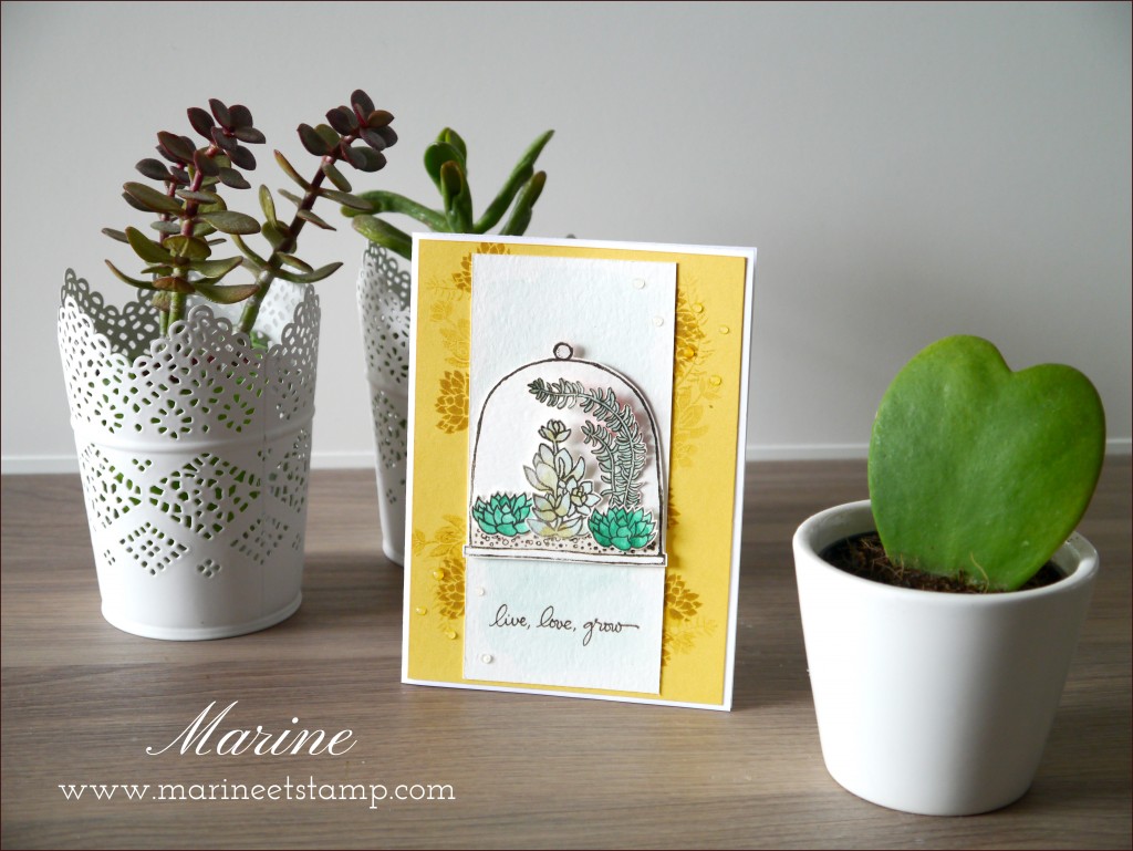 StampinUp - Marine Wiplier - Cartes018