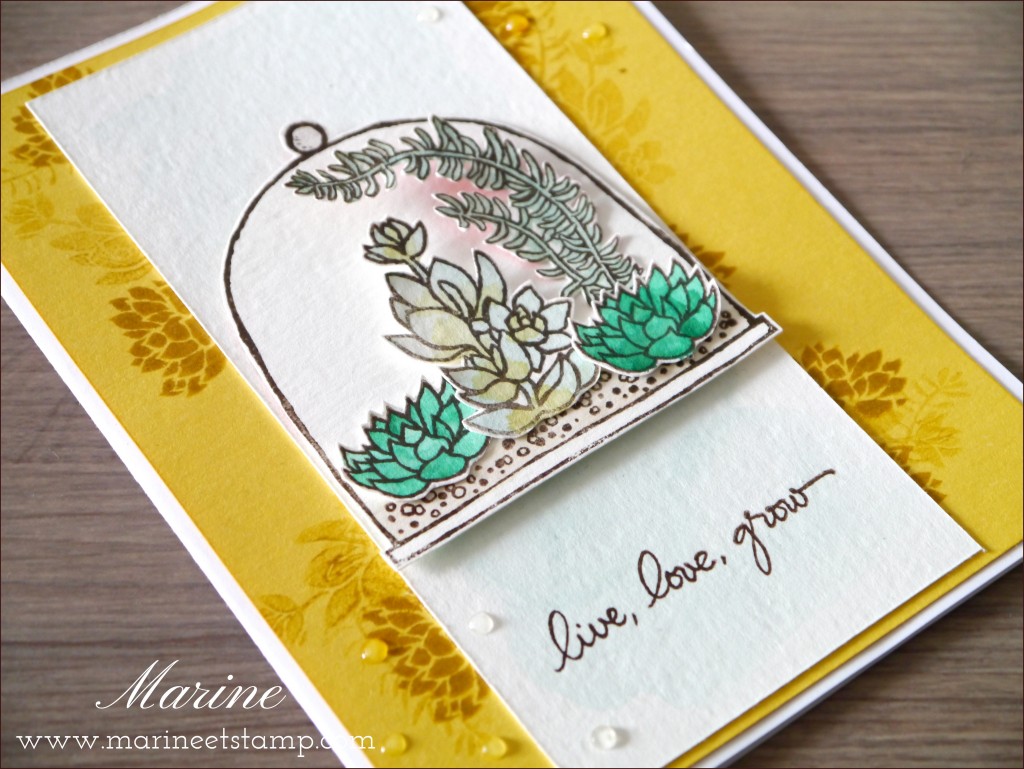 StampinUp - Marine Wiplier - Cartes019-1