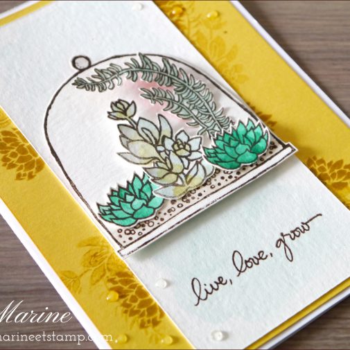 StampinUp – Marine Wiplier – Cartes019-1