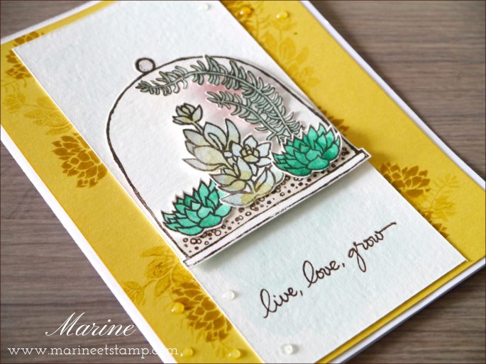 StampinUp – Marine Wiplier – Cartes019-1