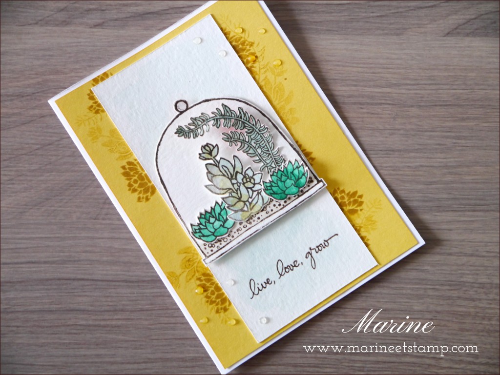 StampinUp - Marine Wiplier - Cartes019