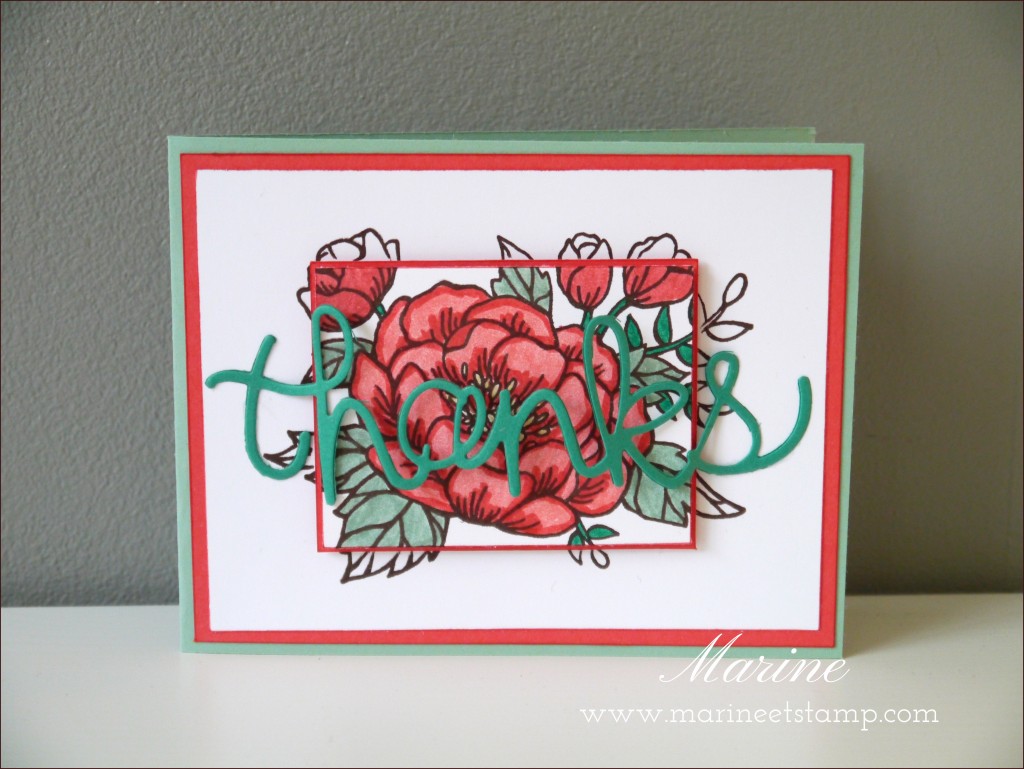 StampinUp - Marine Wiplier - Cartes021