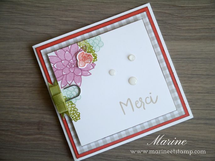 StampinUp – Marine Wiplier – Cartes036-2