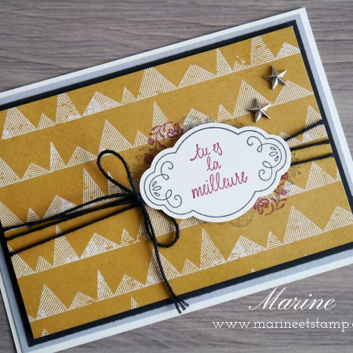 StampinUp – Marine Wiplier – CLTM – Avril2017-2