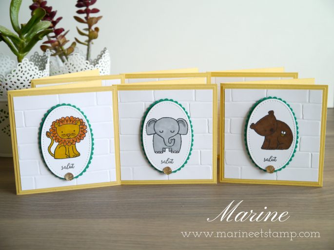 StampinUp – Marine Wiplier – Cartes058