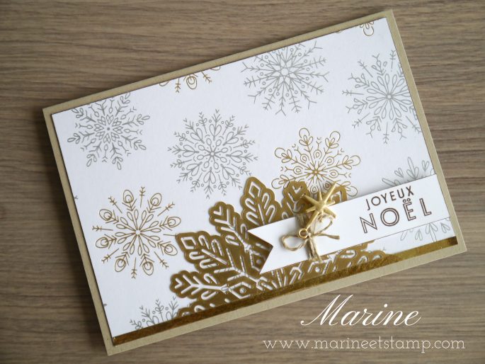 StampinUp – Marine Wiplier – Cartes059-2