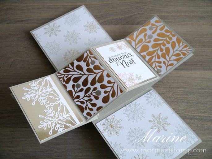 StampinUp – Marine Wiplier – Cartes061-3